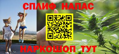 гидра Новодвинск