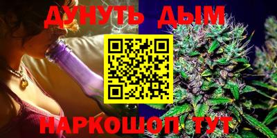 гидра Новодвинск